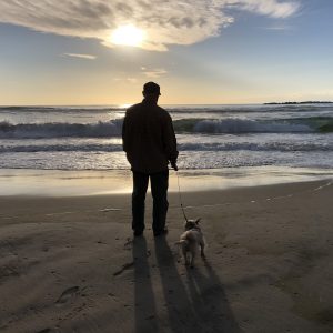 beach silouette