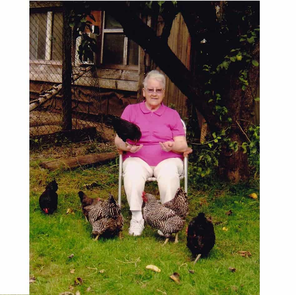 SQ PMgrandma chickens